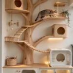 cat corner