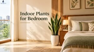 Read more about the article Indoor Plants for Bedroom: Best Choices, Care & Placement Tips